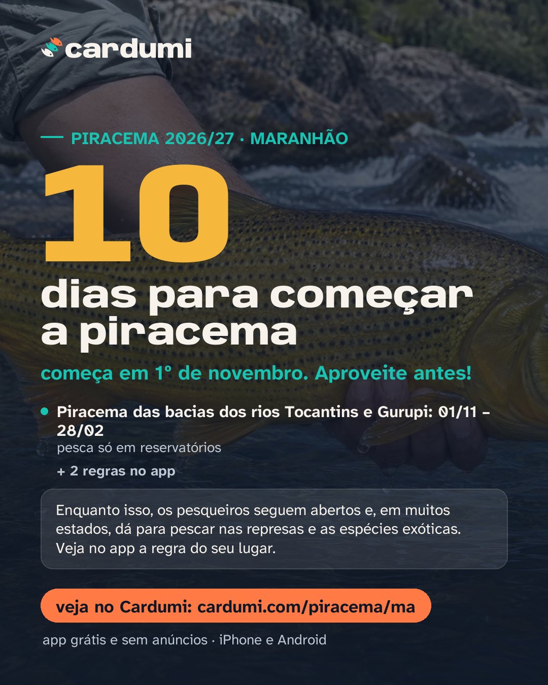 Cartão da piracema em Maranhão