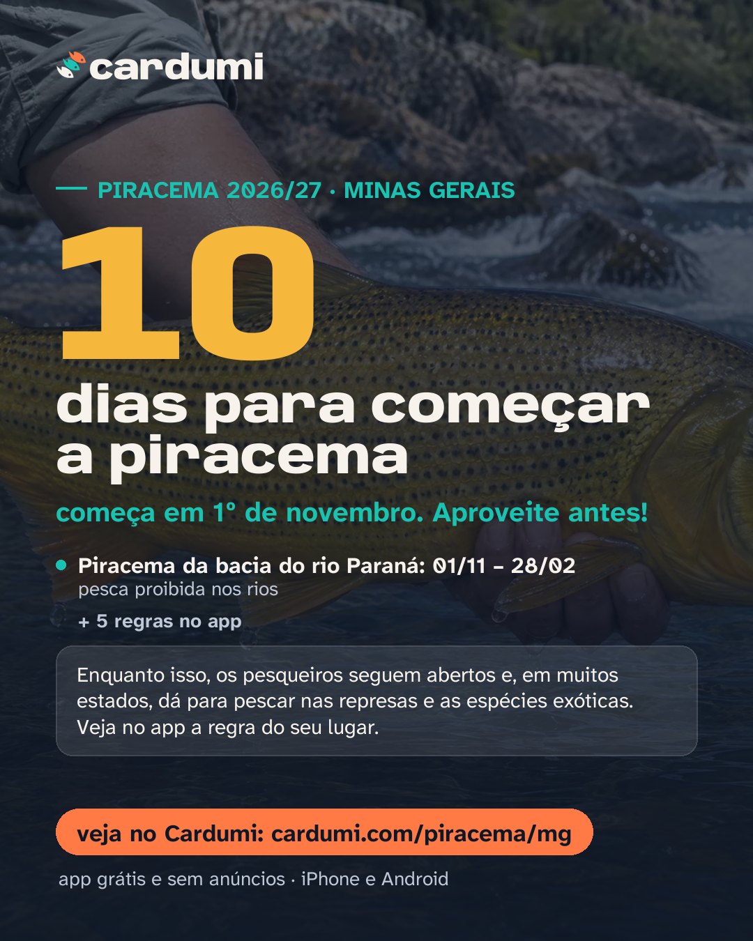 Cartão da piracema em Minas Gerais