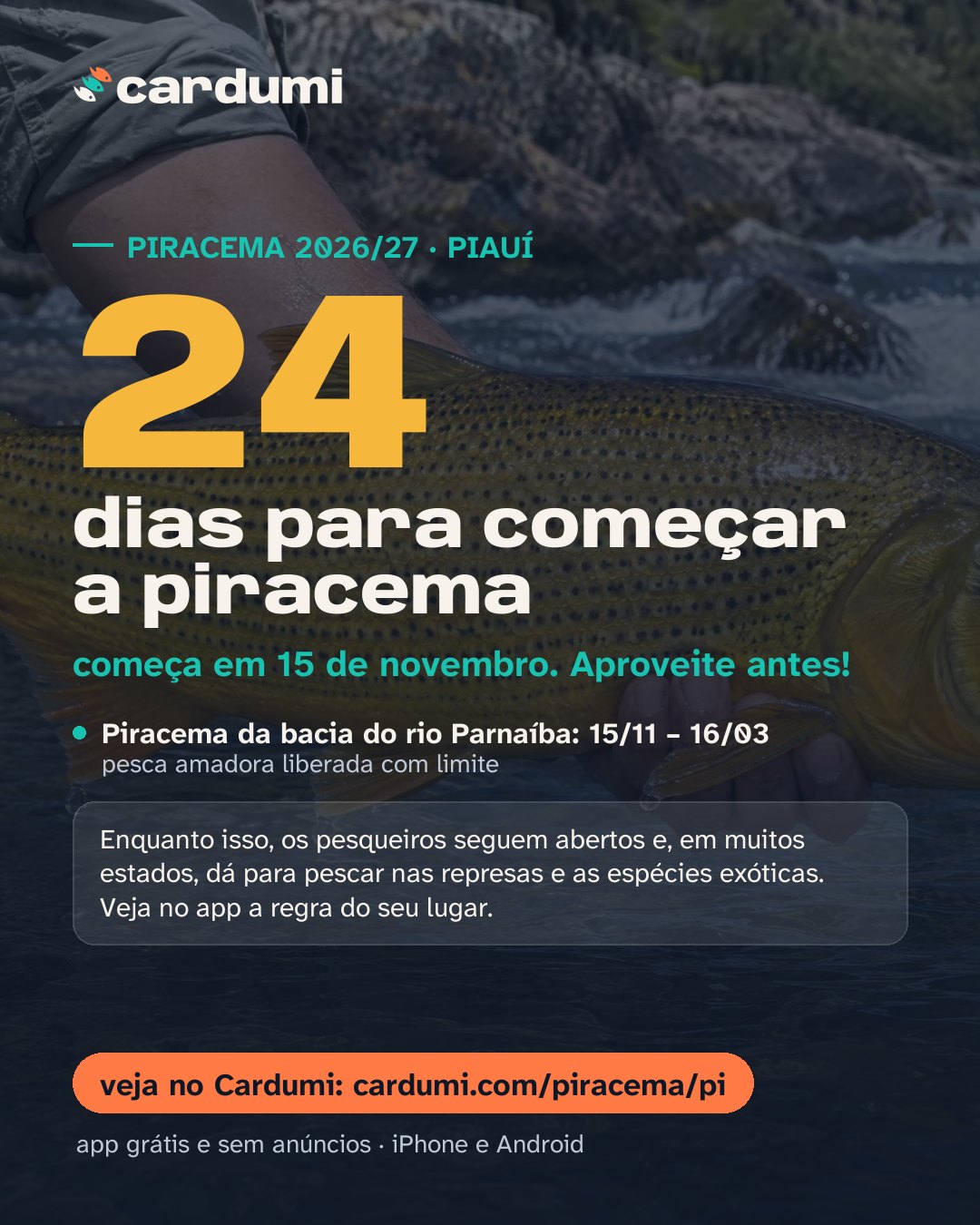 Cartão da piracema em Piauí