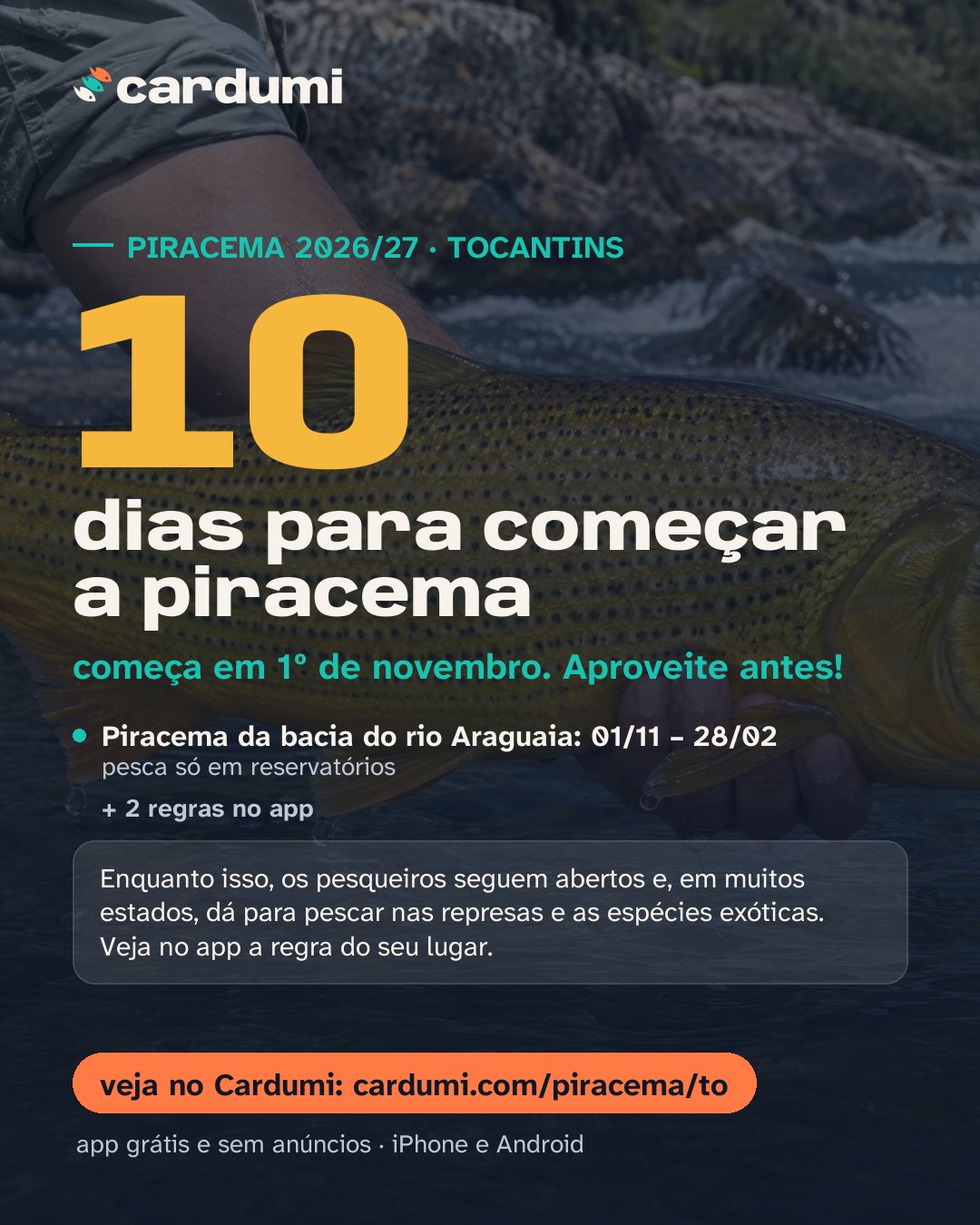 Cartão da piracema em Tocantins